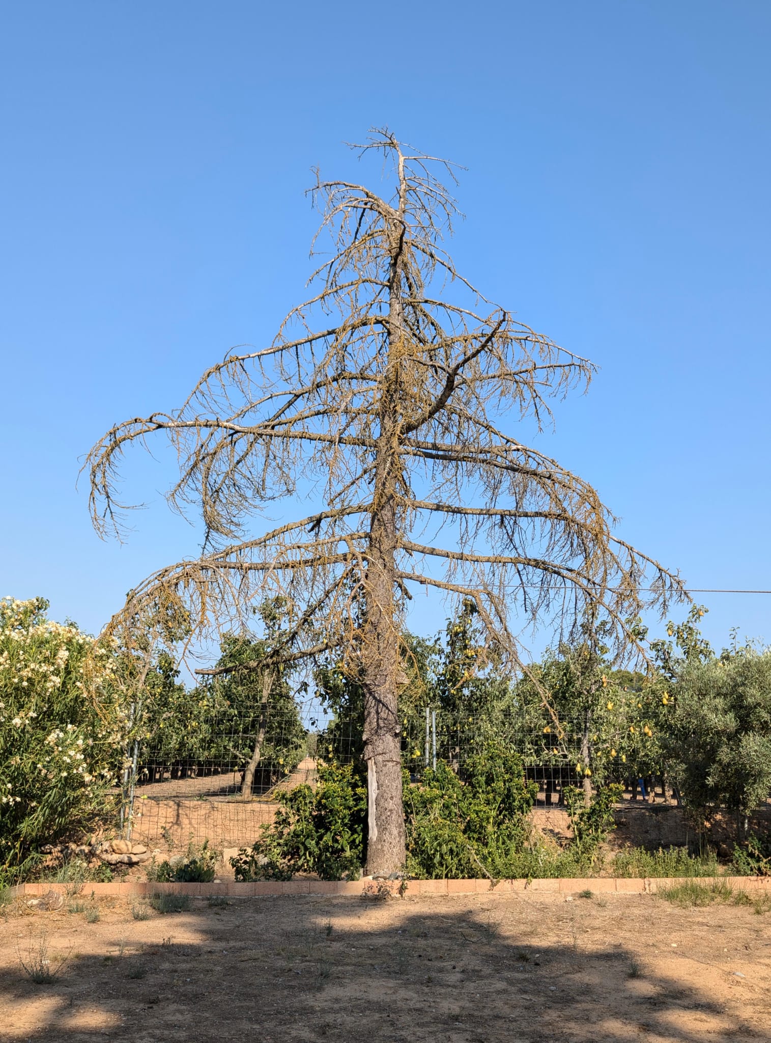 Trabajo en Carreteras