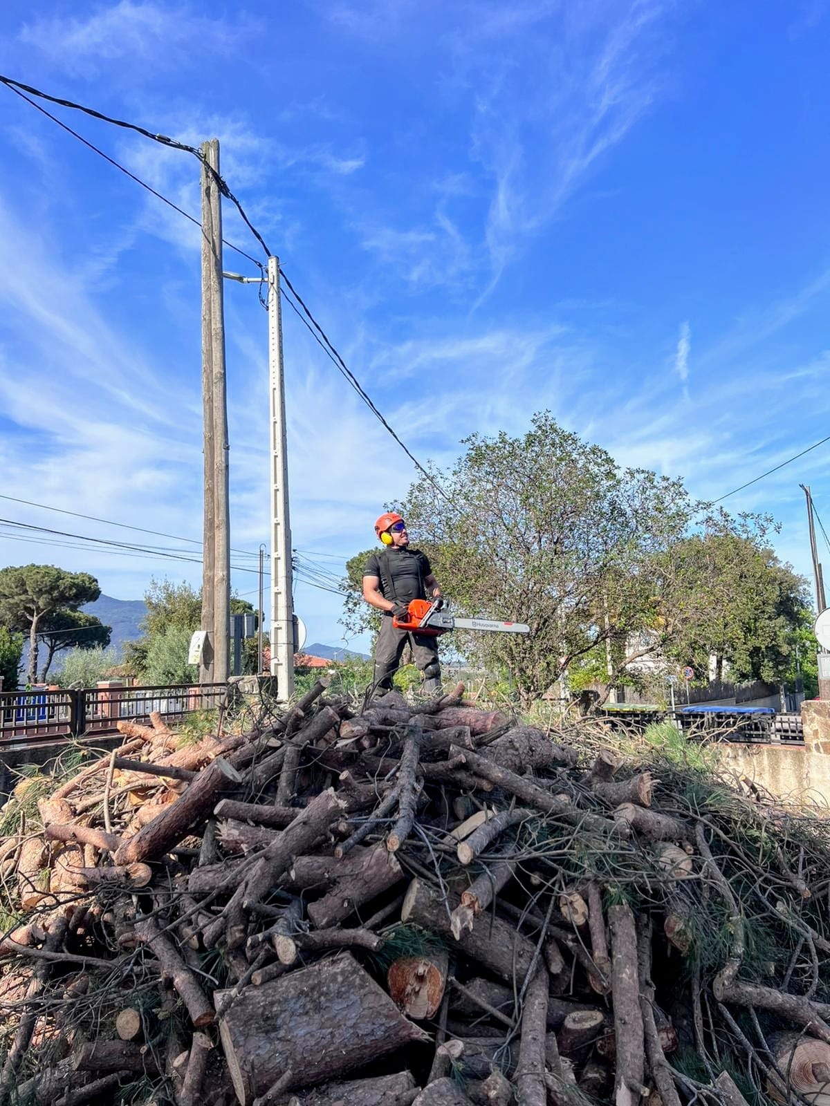 Sostenibilidad en trabajos forestales: nuestro compromiso con el medio ambiente