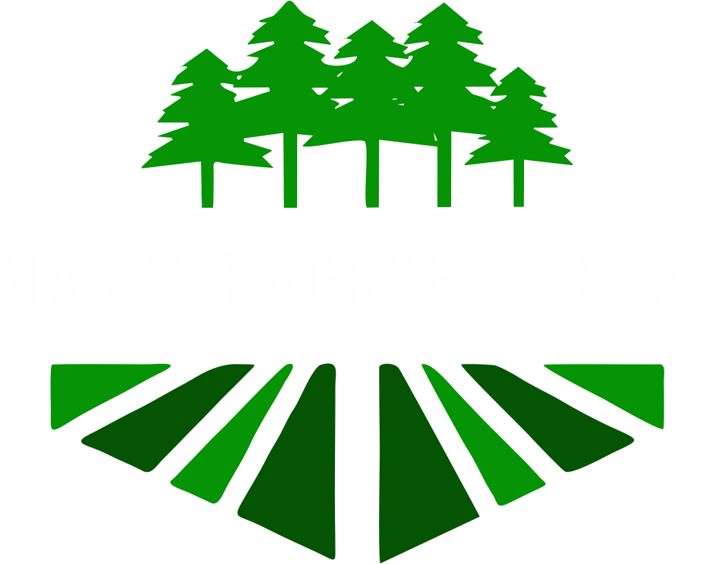 Manzer Agroforestal